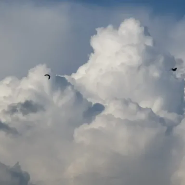 I-sentimenti-vanno-e-vengono-come-nuvole-in-un-cielo-ventoso.-La-respirazione-consapevole-e-la-mia-ancora