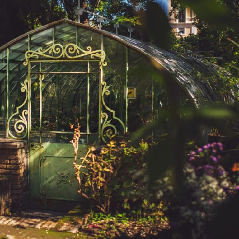 Mindfulness all’Orto Botanico di Roma al via il corso MBSR di 8 settimane con Nerina Di Nunzio evidenza